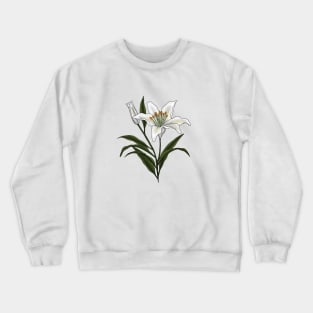 Lily Crewneck Sweatshirt